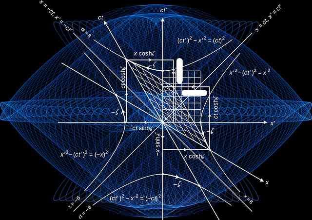 food webs integration of patterns dynamics